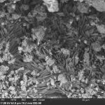 Asteroide Bennu, nuove analisi dei campioni