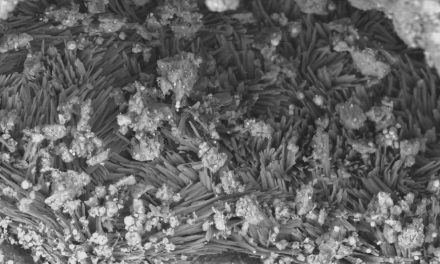 Asteroide Bennu, nuove analisi dei campioni