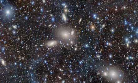 Abell S636: il cluster galattico immortalato dalla DeCam