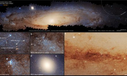Hubble svela i dettagli della galassia di Andromeda