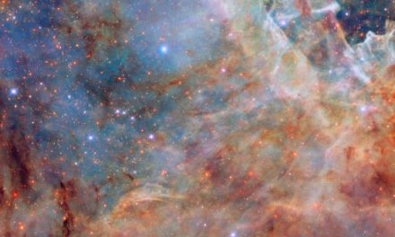 Hubble cattura la Grande Nube di Magellano tra polvere e luce