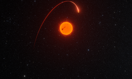 La missione Gaia scopre un esopianeta e una nana bruna