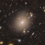 Euclid scova per caso un anello di Einstein