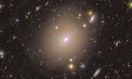 Euclid scova per caso un anello di Einstein
