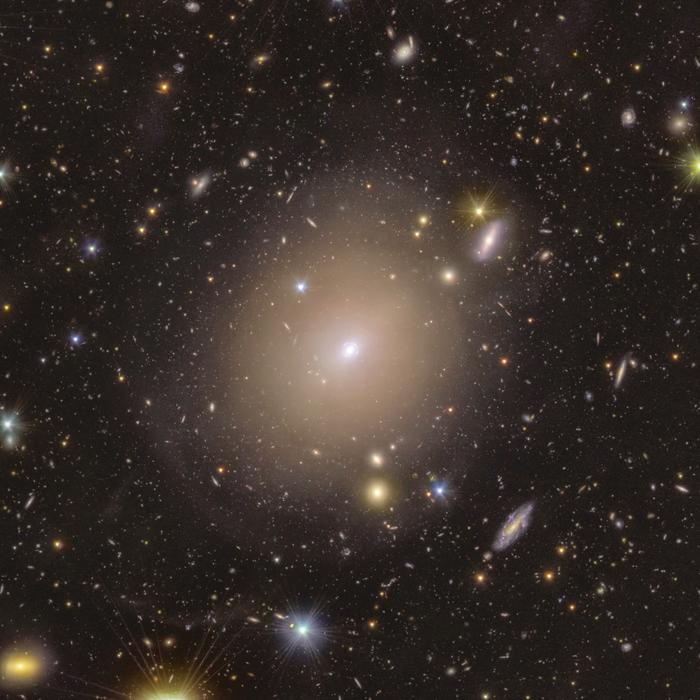 Euclid scova per caso un anello di Einstein
