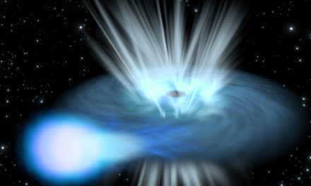 La strana coppia di stelle massicce osservate dall’Einstein Probe