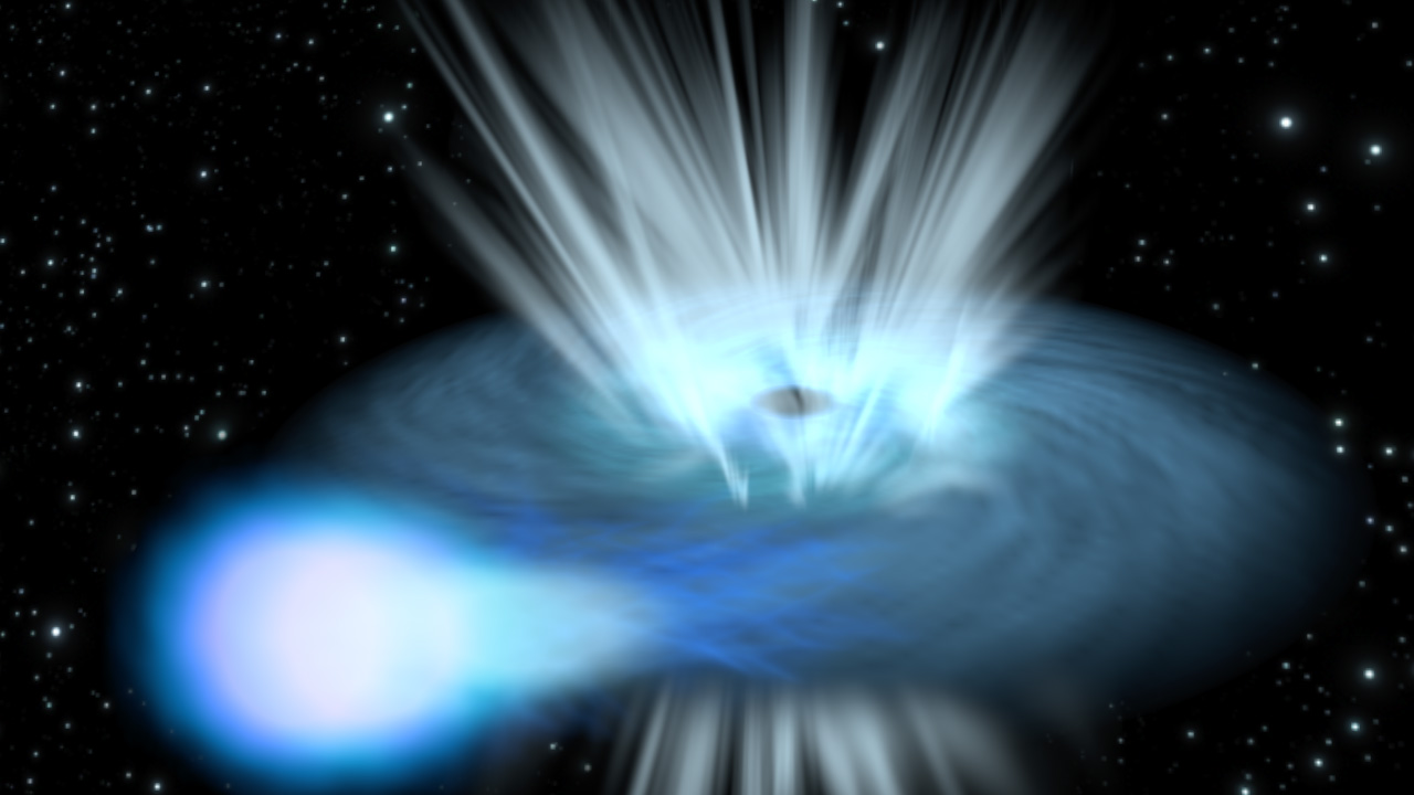 La strana coppia di stelle massicce osservate dall’Einstein Probe