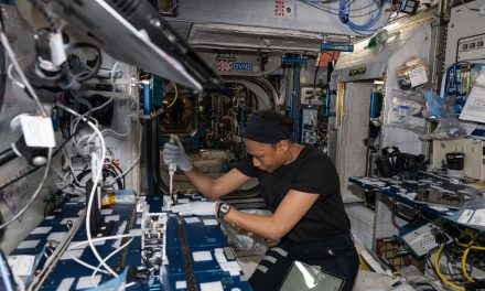 Il problema dei batteri resistenti agli antibiotici