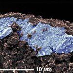 Sali minerali nei campioni di Ryugu