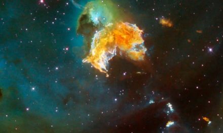 La formazione precoce dell’acqua