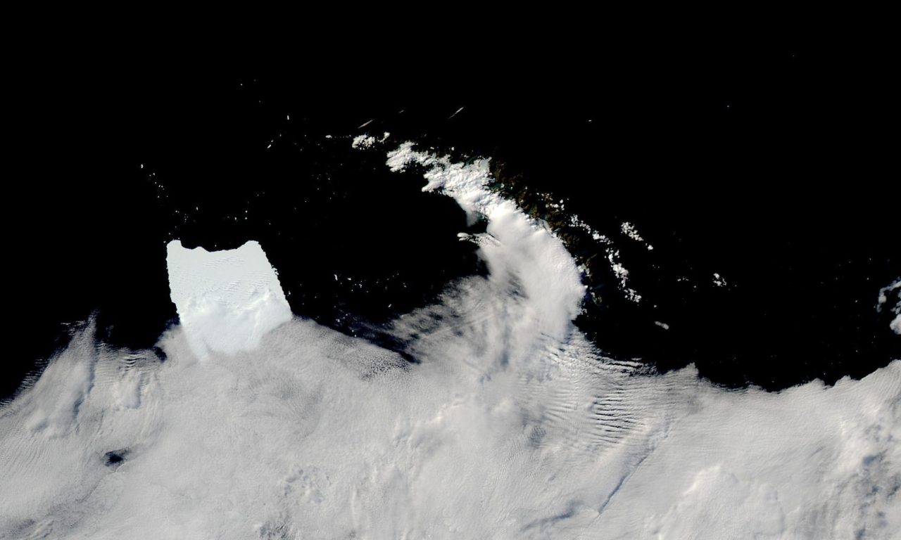 L’iceberg A-23A fa una pausa nell’oceano