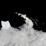L’iceberg A-23A fa una pausa nell’oceano