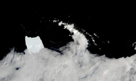 L’iceberg A-23A fa una pausa nell’oceano