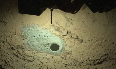 Trovate grandi molecole organiche su Marte