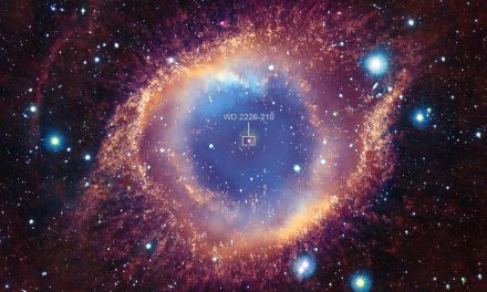 Segnali da un pianeta distrutto