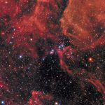 Tracce cosmiche di un’estinzione: il ruolo delle supernove