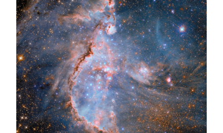 Hubble ci mostra un'immagine composita e dettagliata di un giovane ammasso stellare