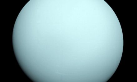 Urano occulta una stella nel cielo d’aprile