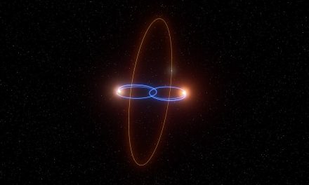Un pianeta, due nane brune e un’orbita polare
