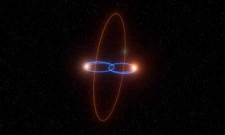 Un pianeta, due nane brune e un'orbita polare