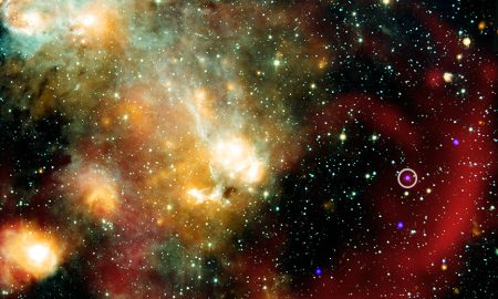 Un battito stellare ogni 44 minuti