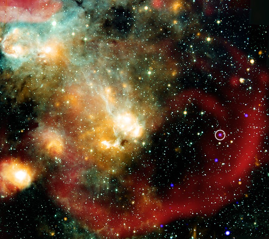 Un battito stellare ogni 44 minuti