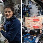 Innaffiare le piante in microgravità