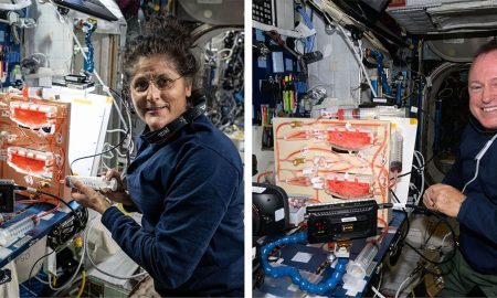 Innaffiare le piante in microgravità