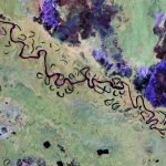 Biomass, ecco le prime immagini