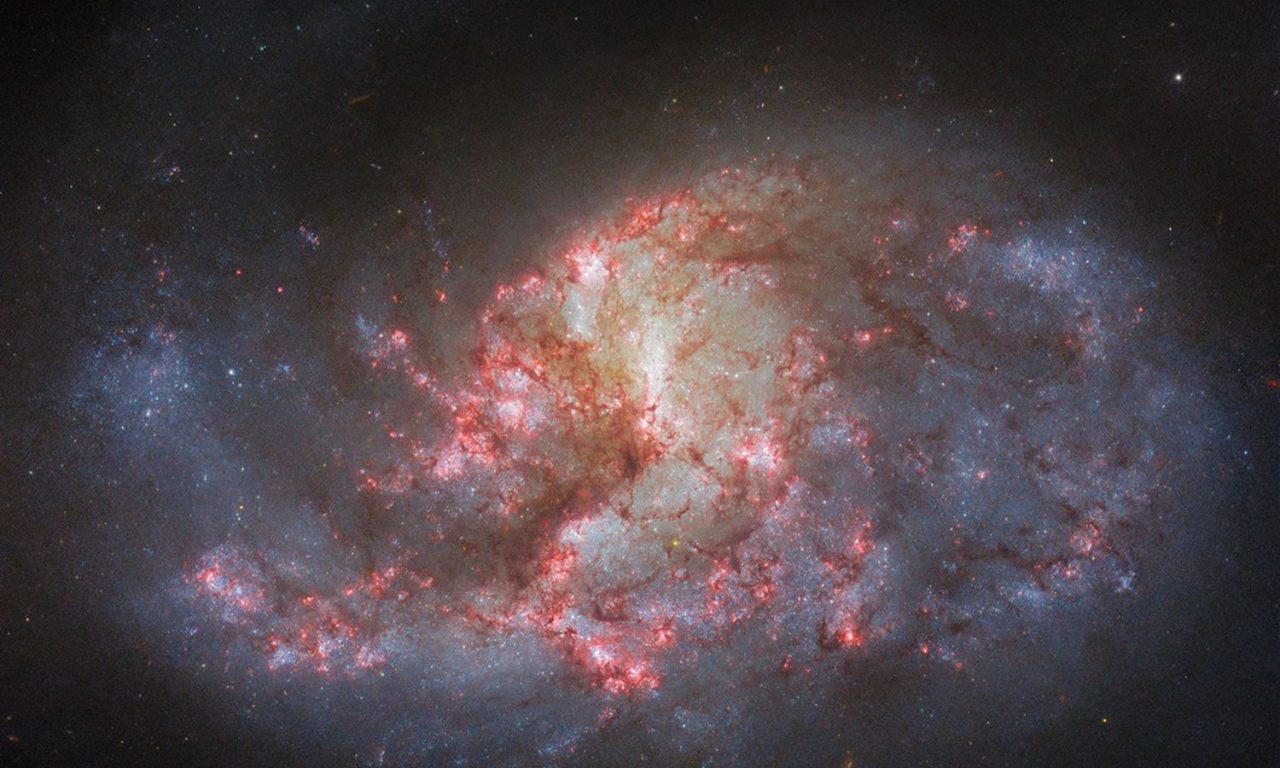 I filtri di Hubble su una galassia a spirale barrata