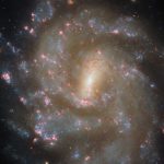 Una ricca galassia per l’inventario di vivai stellari