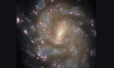 Una ricca galassia per l’inventario di vivai stellari