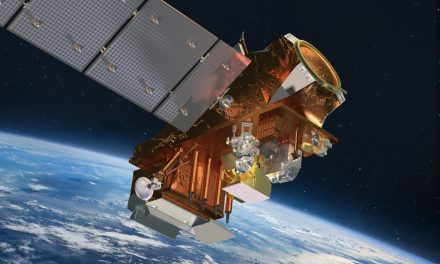 Sguardi satellitari sulla crescita delle piante urbane