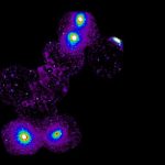 A caccia della materia mancante