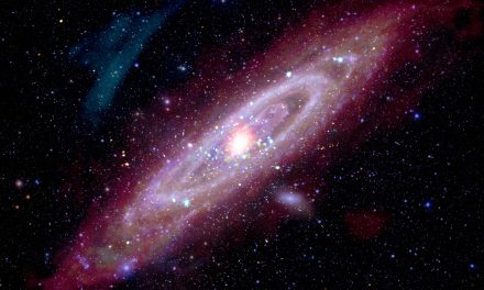 Un ritratto a più mani per la Galassia di Andromeda