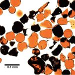 Perle minerarie testimoniano la presenza di eruzioni vulcaniche sulla Luna