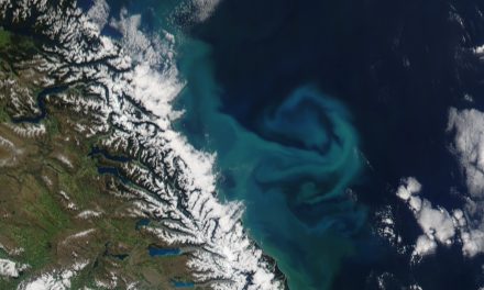 Cambiamenti cromatici negli oceani