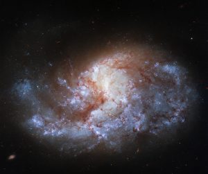 Il telescopio ha immortalato di nuovo la galassia a spirale barrata NGC 1385 ma con filtri diversi da quelli utilizzati nella precedente fotografia scattata nel 2021