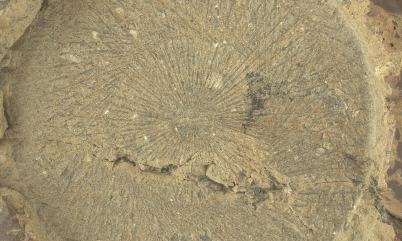 Perseverance, 30° roccia marziana sotto esame