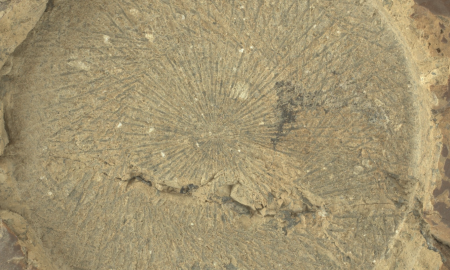 Perseverance, 30° roccia marziana sotto esame