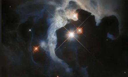 Hubble trova un vivaio stellare nella Nube del Toro