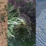 Un nuovo guardiano della Terra ai nastri di partenza