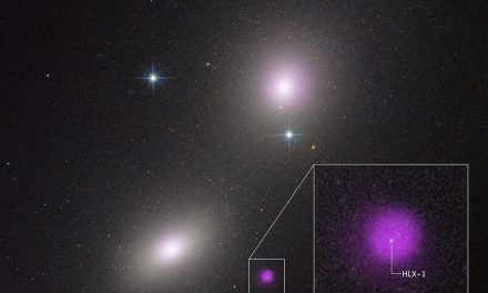 Chandra e Hubble identificano un buco nero di classe intermedia