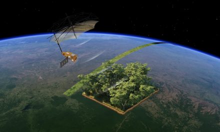 La missione Biomass di Esa restituisce le sue prime immagini delle foreste del mondo