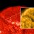 Colossale eruzione solare