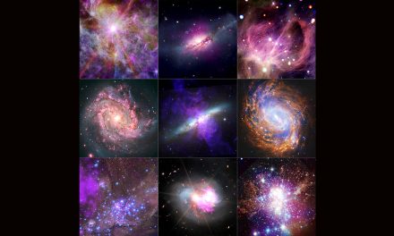 ‘Alleanza’ di telescopi per una nuova collezione d’immagini