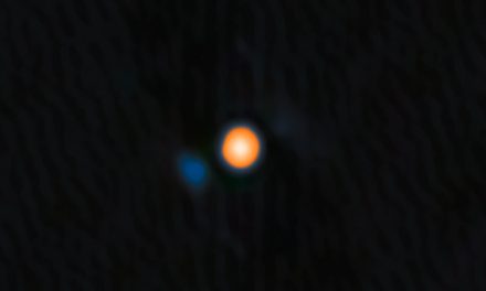 Ecco la compagna di Betelgeuse