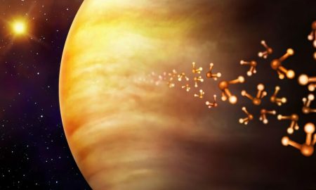 Vita su Venere, una sonda alla ricerca di biomarcatori