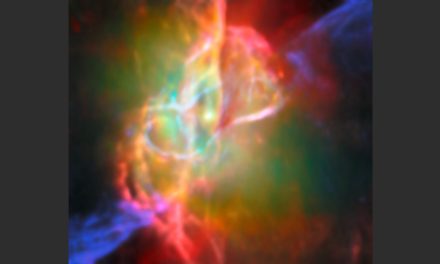 Il cuore della ‘farfalla’ visto da Webb e Alma