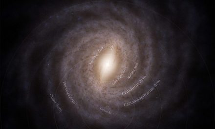 Il censimento degli ammassi stellari di Gaia